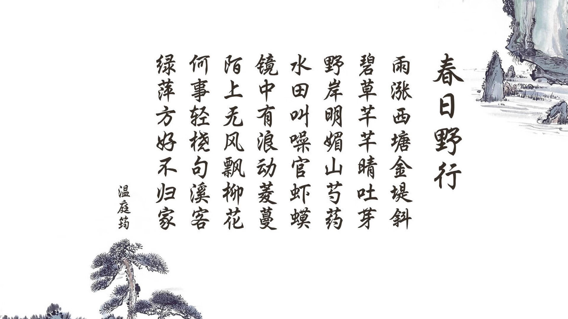悉尼国王新秀球员表现亮眼，悉尼国王队泰特比赛视频