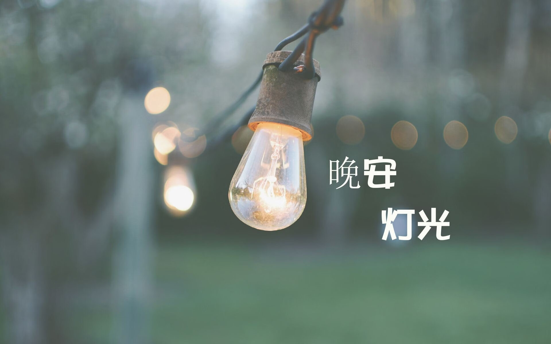 悉尼国王状态强劲冲击冠军，悉尼国王队实力强吗