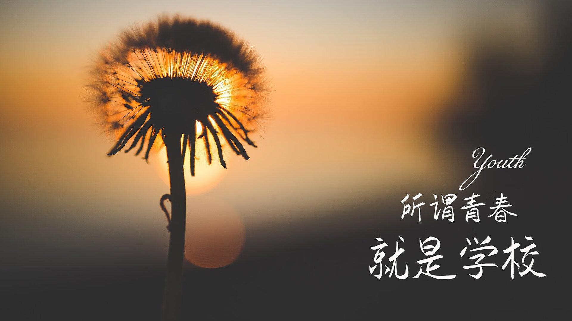 爱游戏在线娱乐官网-朗斯主场试图破门却不利踢皮，球队进攻乏力，朗斯球队实力怎么样